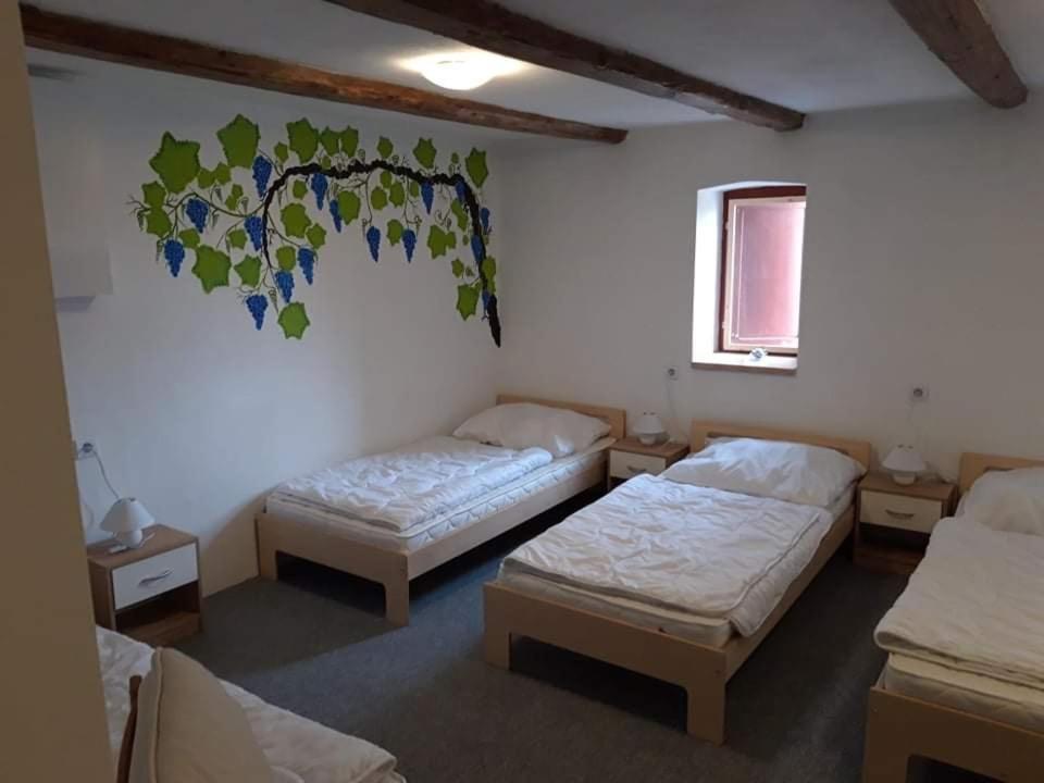 Penzion Na Vyhlidce Cejkovice  Extérieur photo