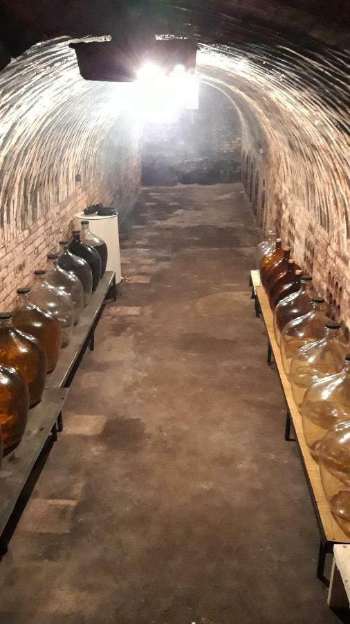 Penzion Na Vyhlidce Cejkovice  Extérieur photo