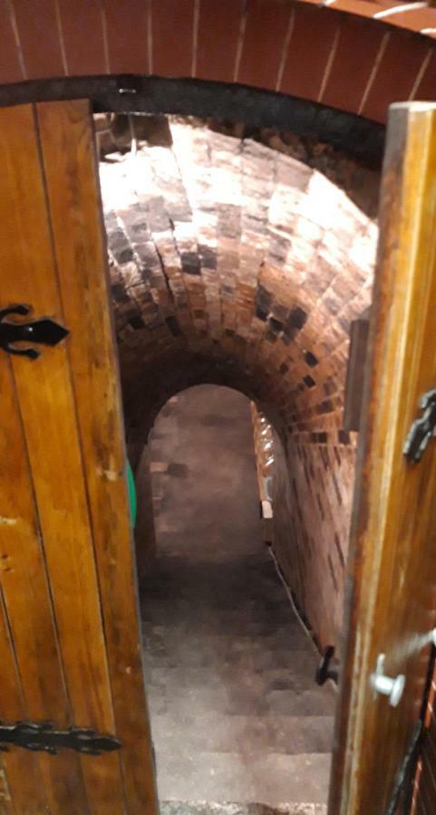 Penzion Na Vyhlidce Cejkovice  Extérieur photo