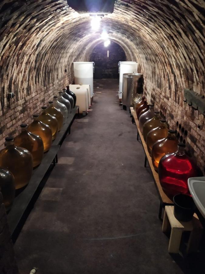 Penzion Na Vyhlidce Cejkovice  Extérieur photo